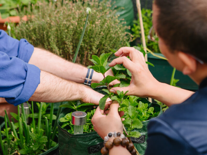 Man picking plants in a nature class